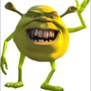 Meet your Posher, Madelynn